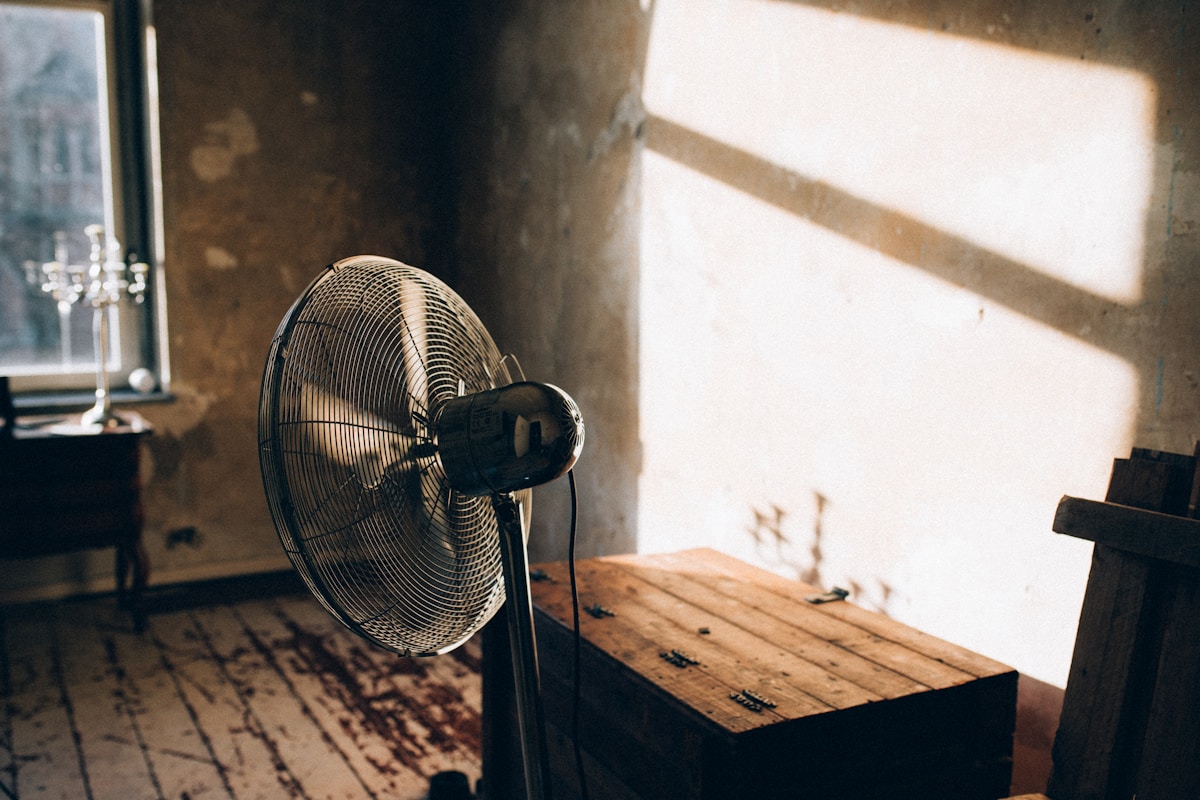 Mold Remediation service in Durham, NC