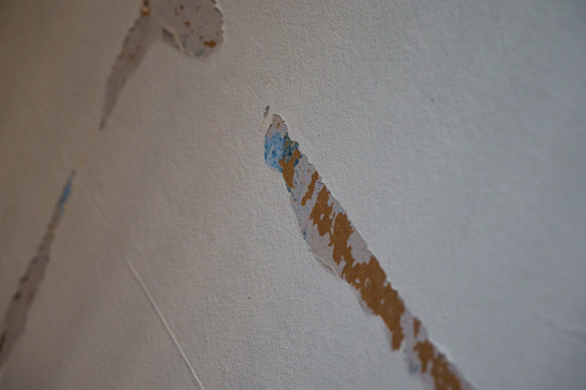 Commercial Water Damage service in Durham, NC